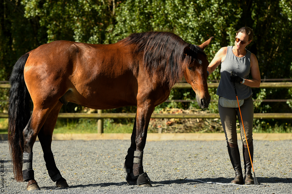 Quinta de Moita 20220627-341