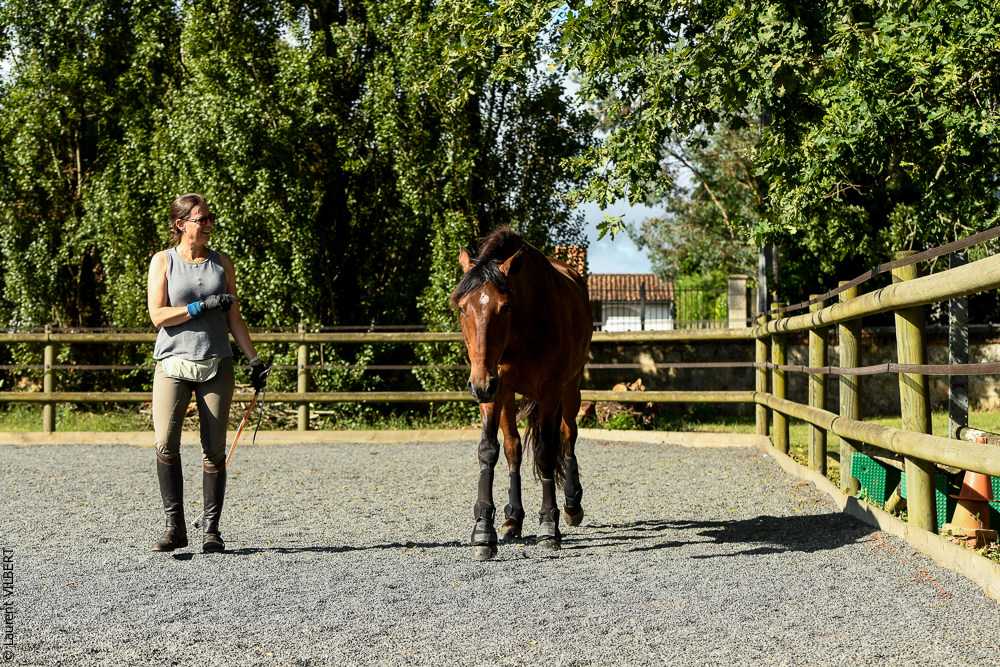 Quinta de Moita 20220627-347