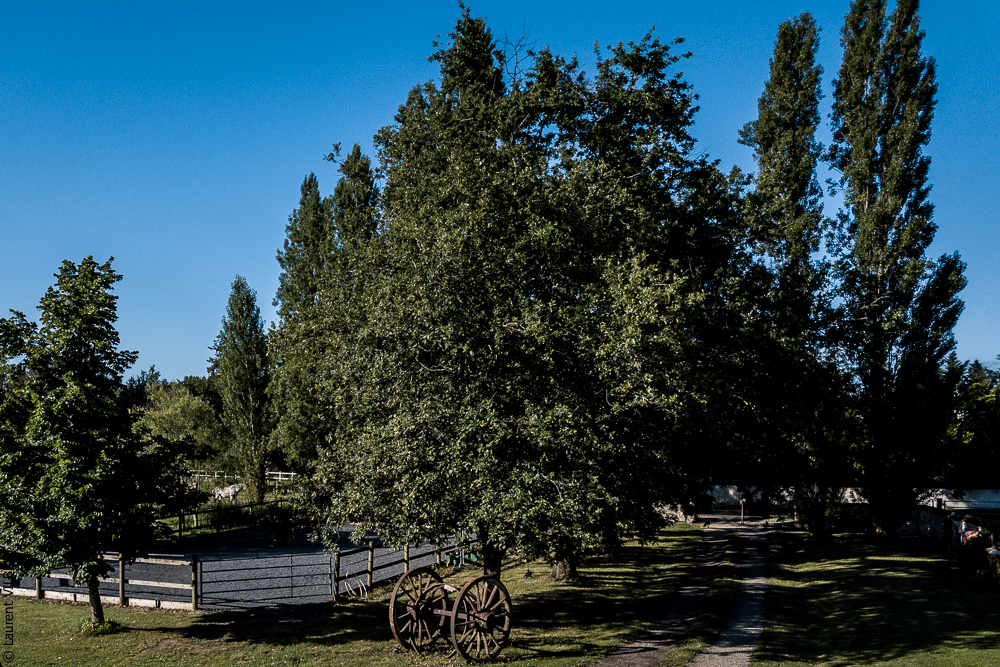 Quinta de Moita 20220627-376