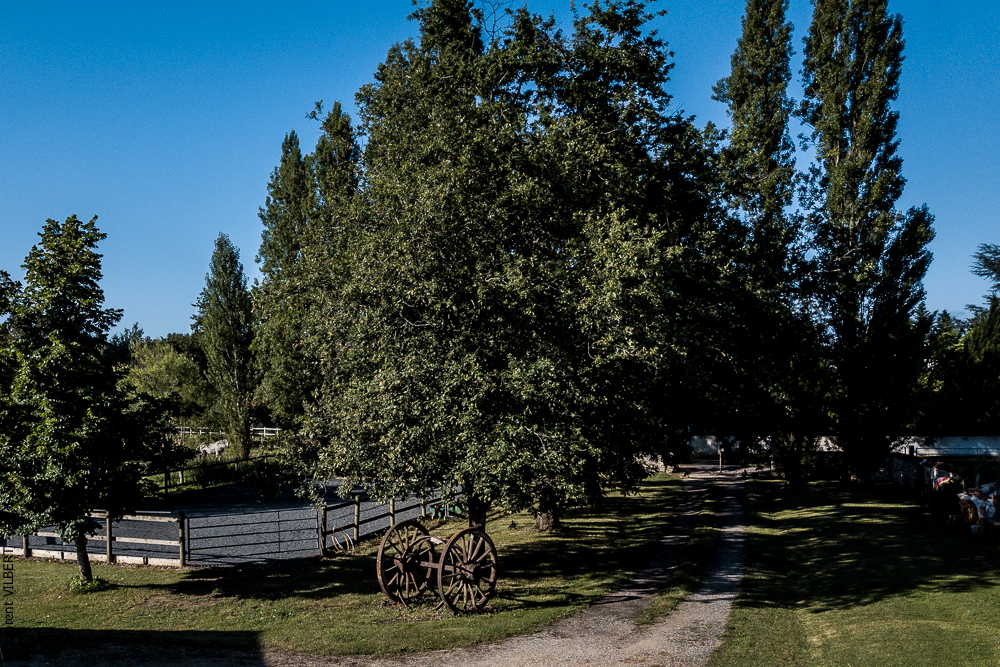 Quinta de Moita 20220627-377