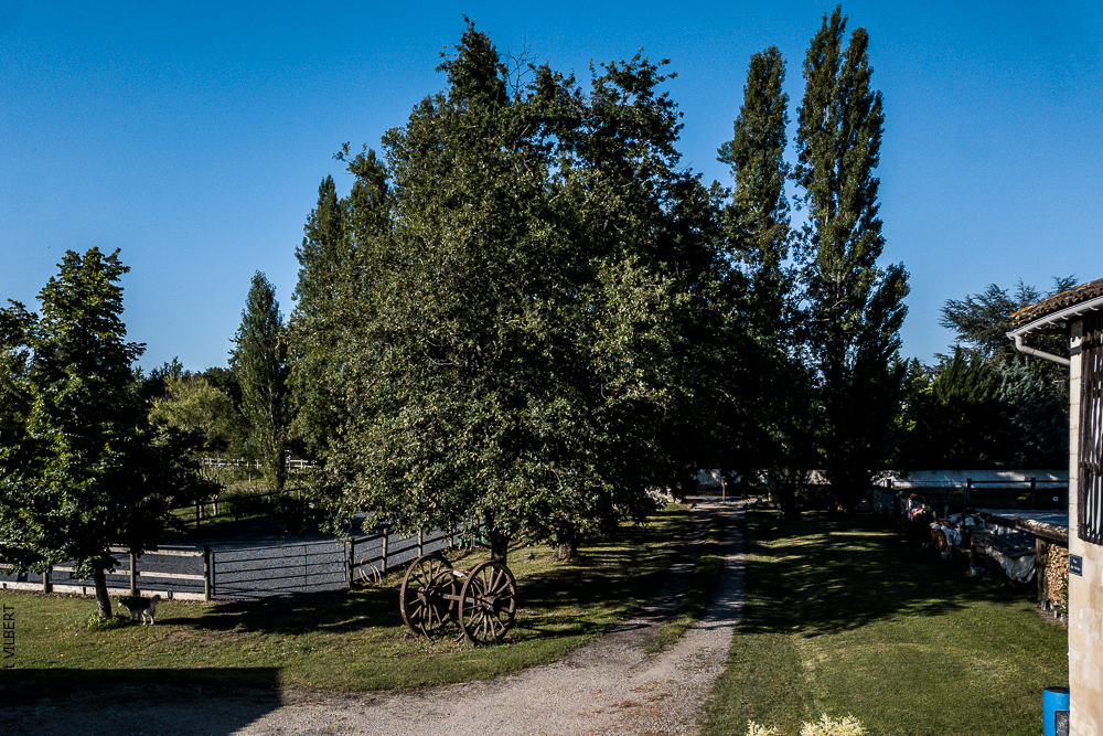 Quinta de Moita 20220627-380