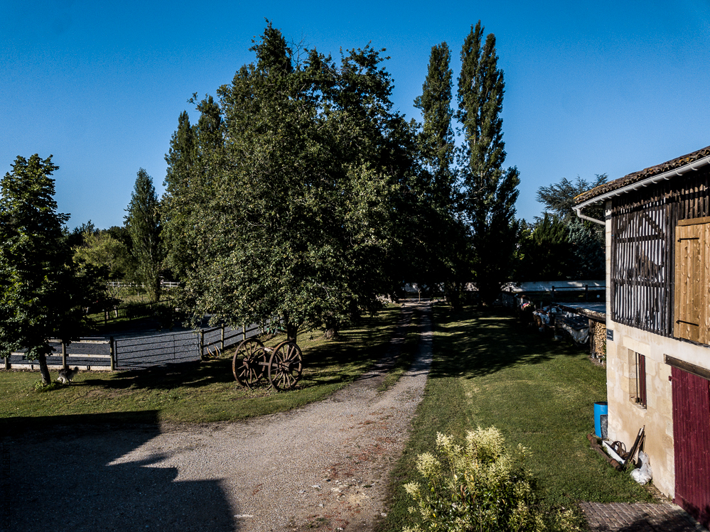 Quinta de Moita 20220627-381