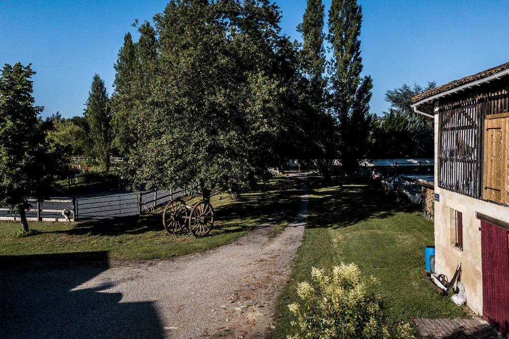 Quinta de Moita 20220627-382