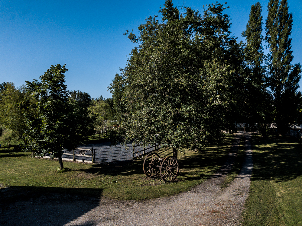 Quinta de Moita 20220627-383