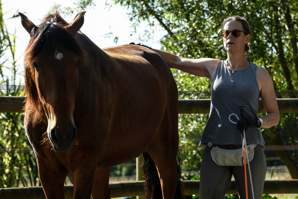 Quinta de Moita 20220627-414