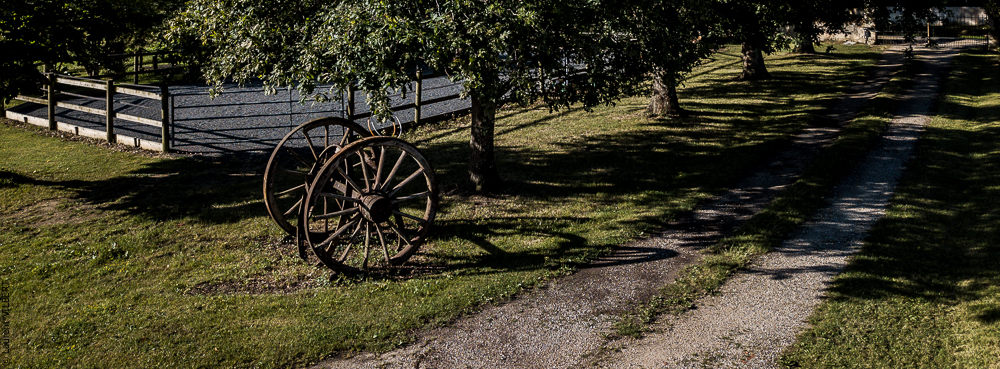 Quinta de Moita 20220627-425