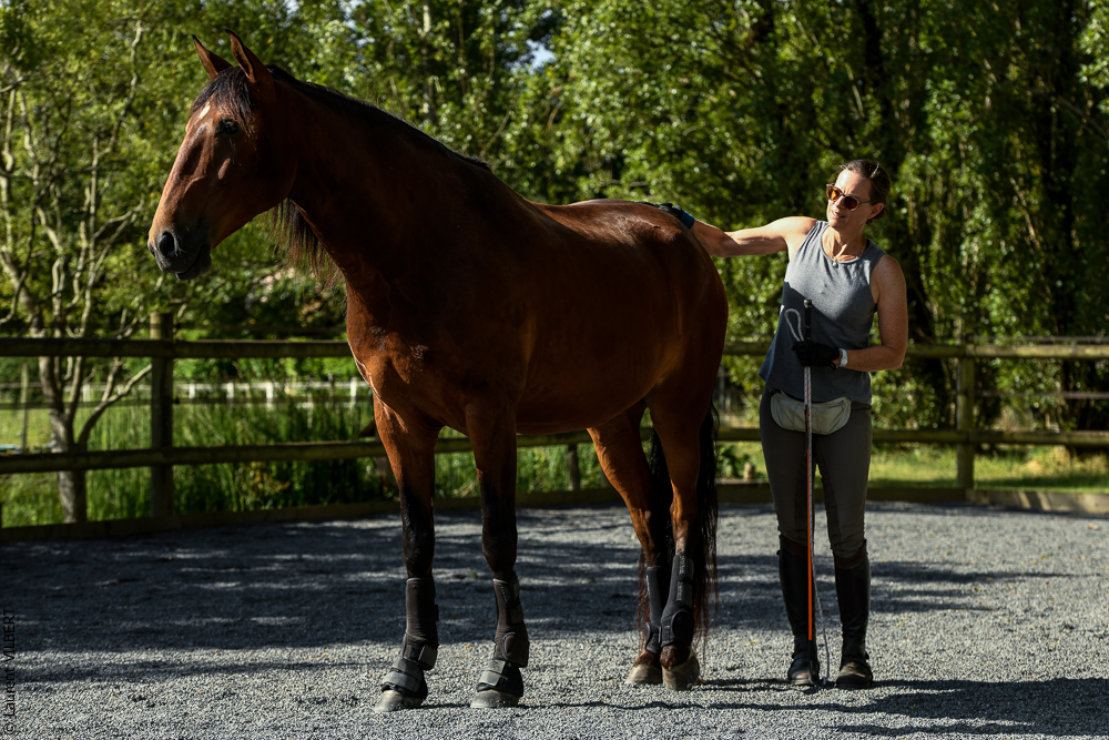 Quinta de Moita 20220627-433