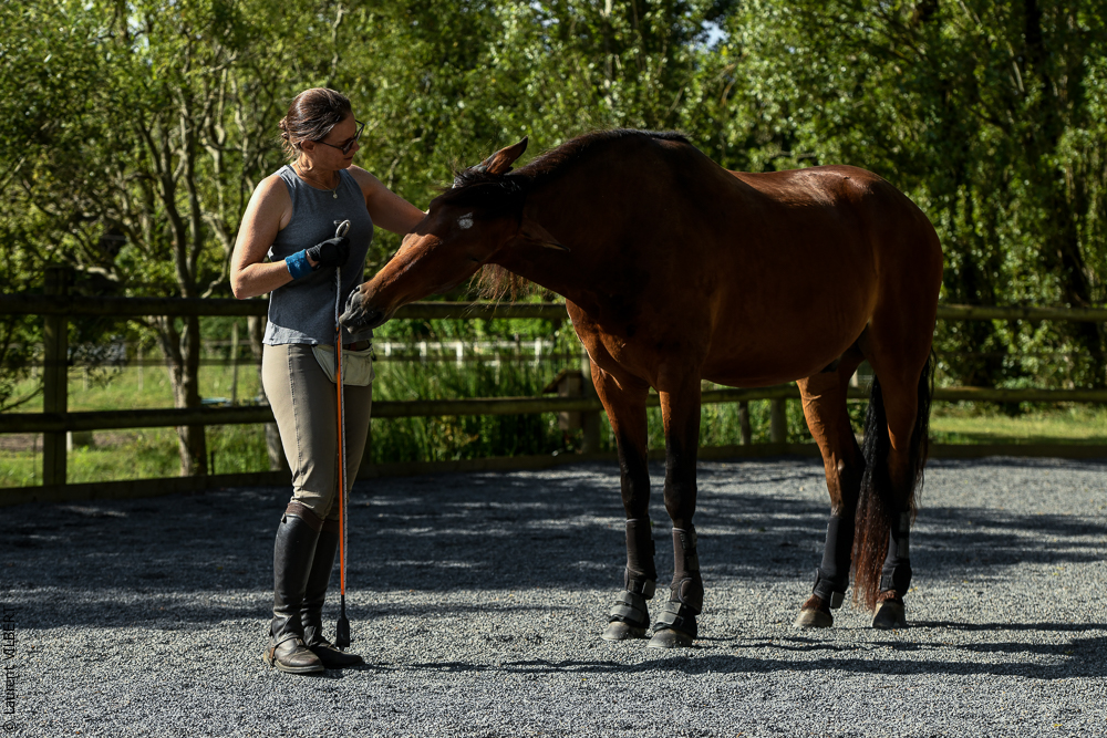 Quinta de Moita 20220627-443