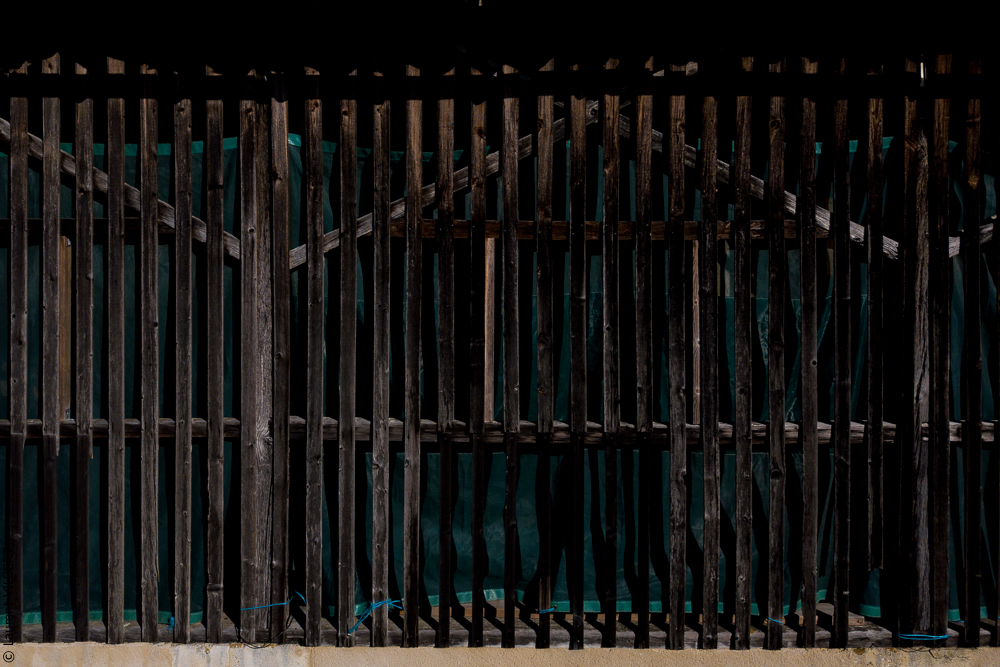 Quinta de Moita 20220627-451