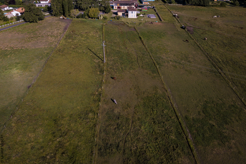 Quinta de Moita 20220627-476