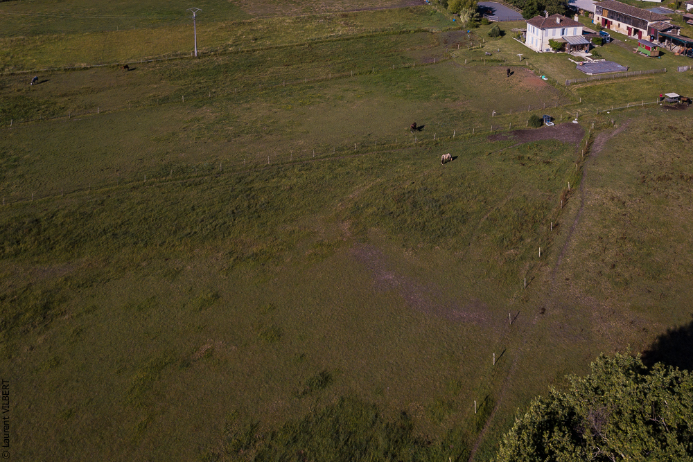 Quinta de Moita 20220627-479