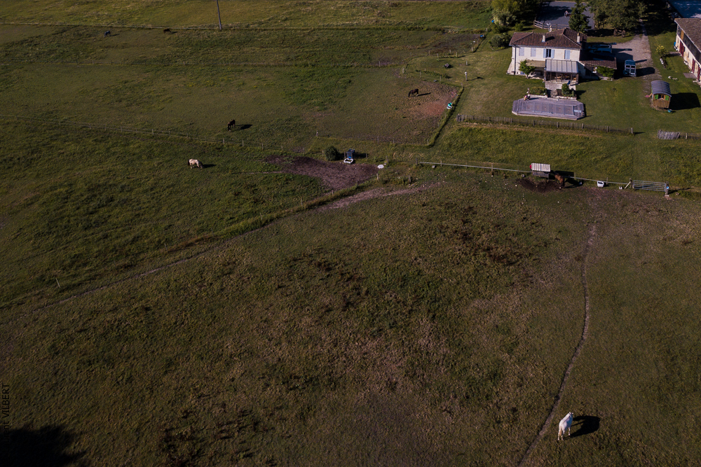 Quinta de Moita 20220627-482