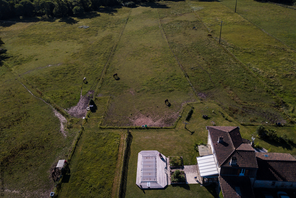 Quinta de Moita 20220627-490