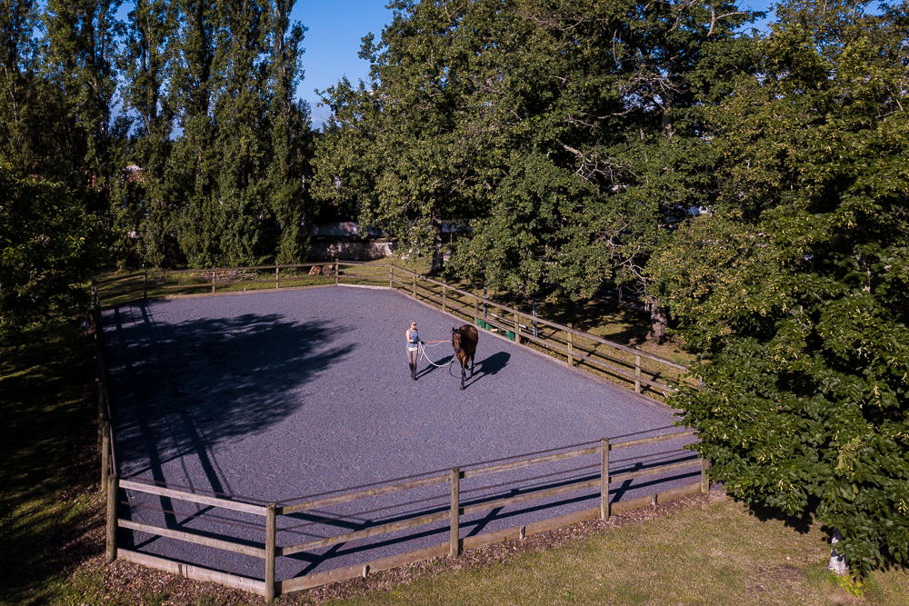 Quinta de Moita 20220627-494