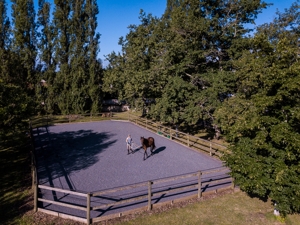 Quinta de Moita 20220627-495