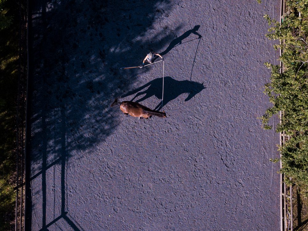 Quinta de Moita 20220627-512