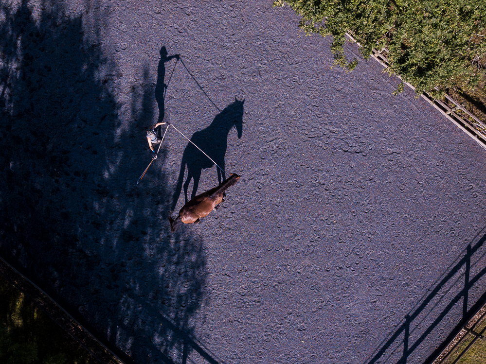 Quinta de Moita 20220627-512