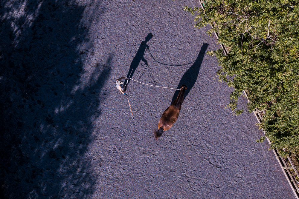 Quinta de Moita 20220627-513