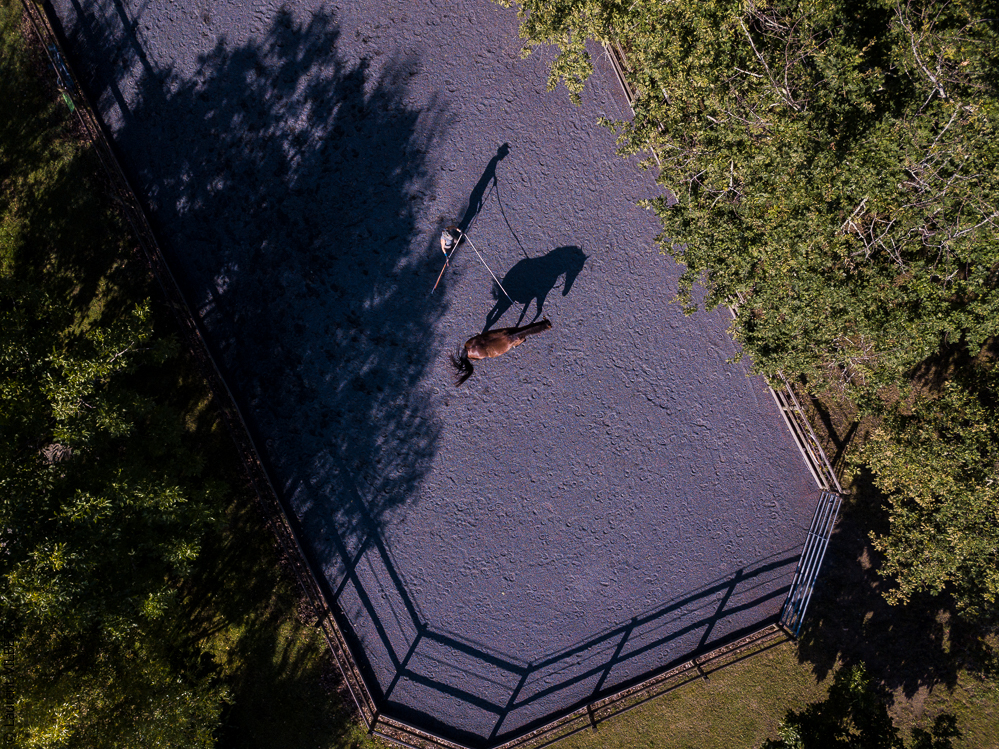 Quinta de Moita 20220627-514