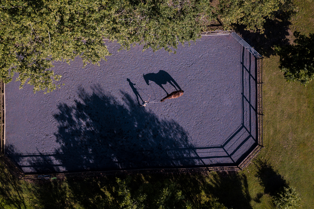 Quinta de Moita 20220627-523