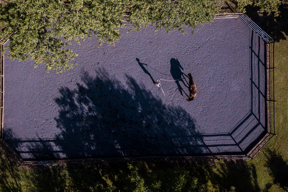 Quinta de Moita 20220627-527