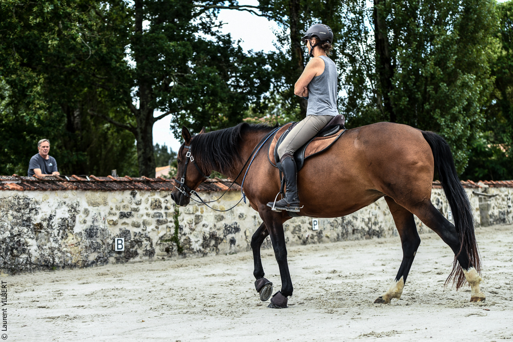 Quinta de Moita 20220627-604