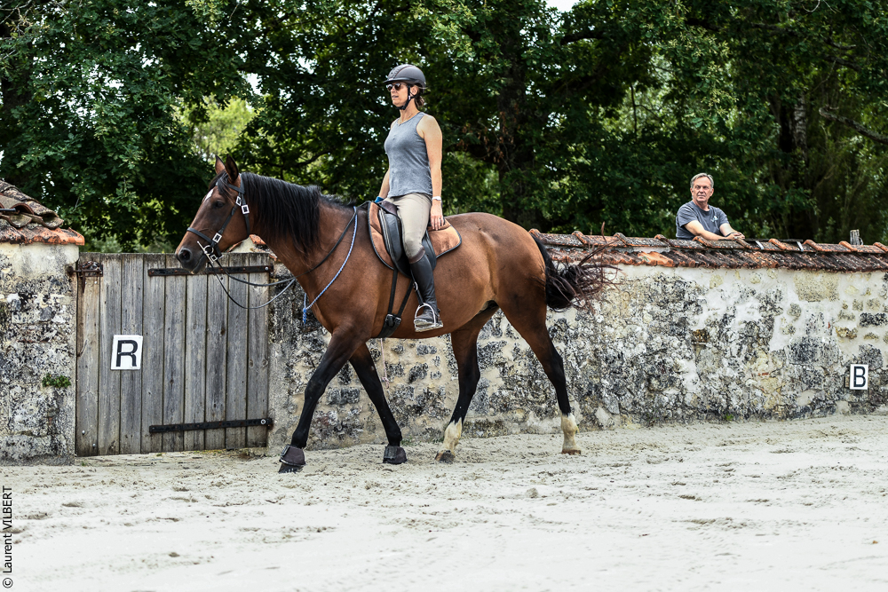 Quinta de Moita 20220627-613