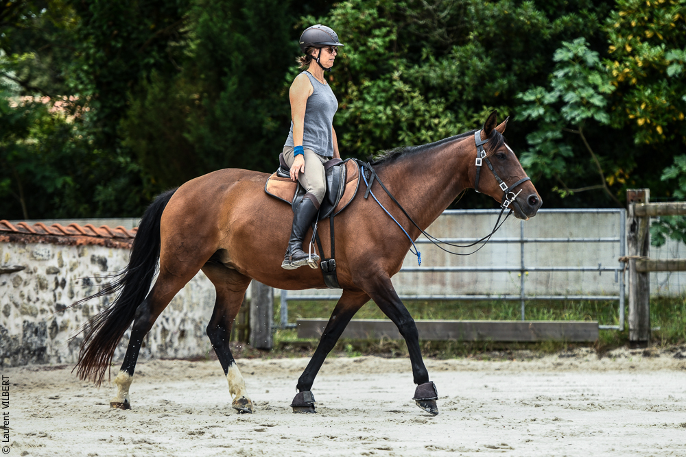 Quinta de Moita 20220627-614