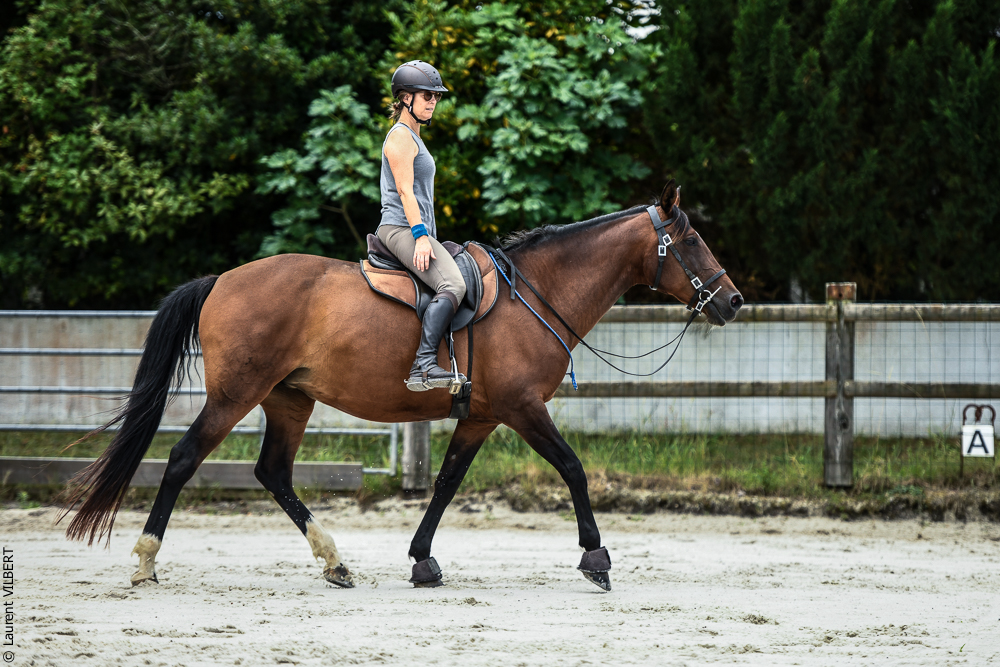 Quinta de Moita 20220627-615