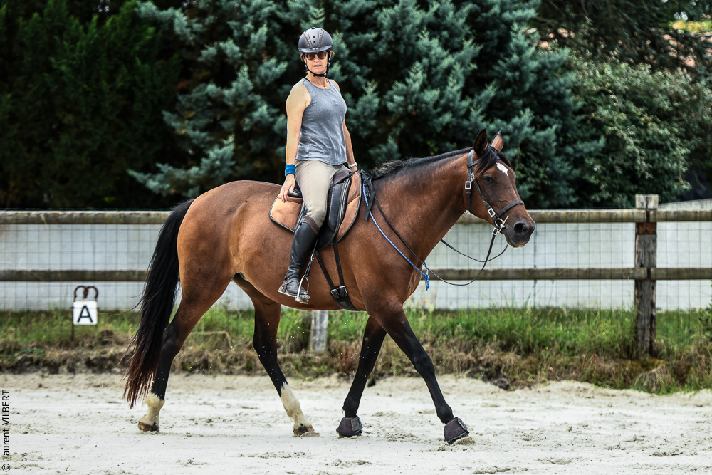 Quinta de Moita 20220627-616