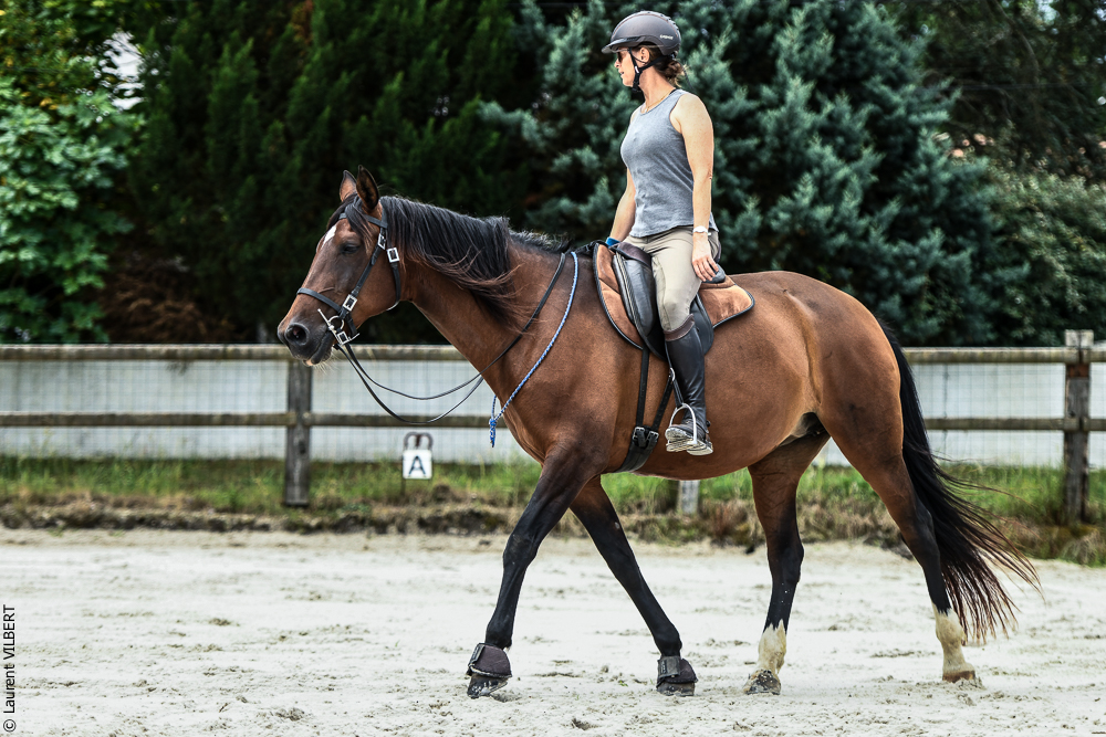 Quinta de Moita 20220627-617