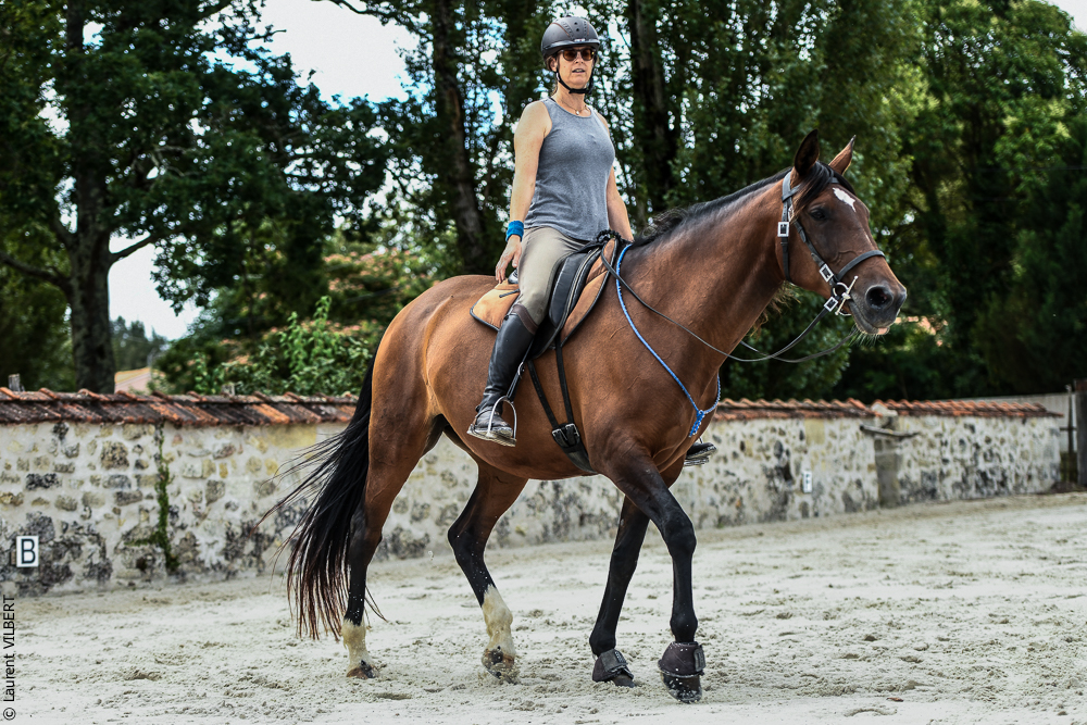 Quinta de Moita 20220627-625