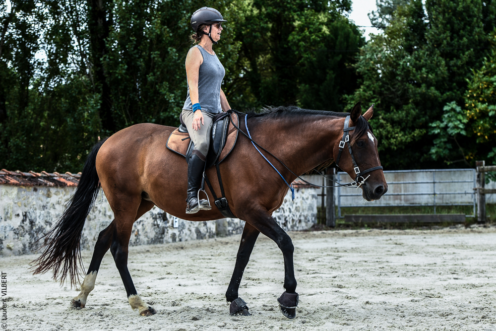 Quinta de Moita 20220627-638