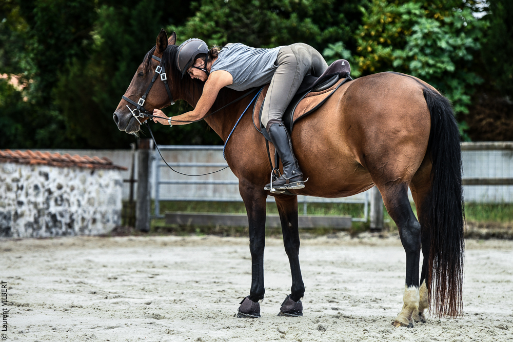 Quinta de Moita 20220627-651