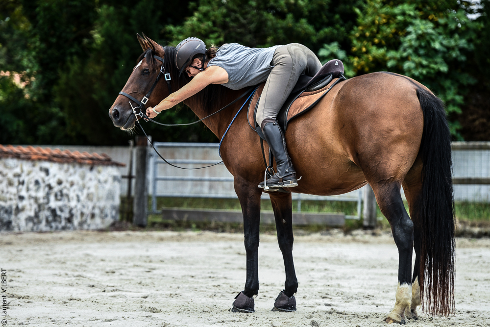 Quinta de Moita 20220627-653