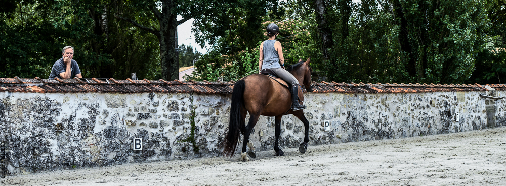 Quinta de Moita 20220627-682