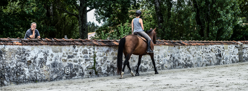 Quinta de Moita 20220627-683