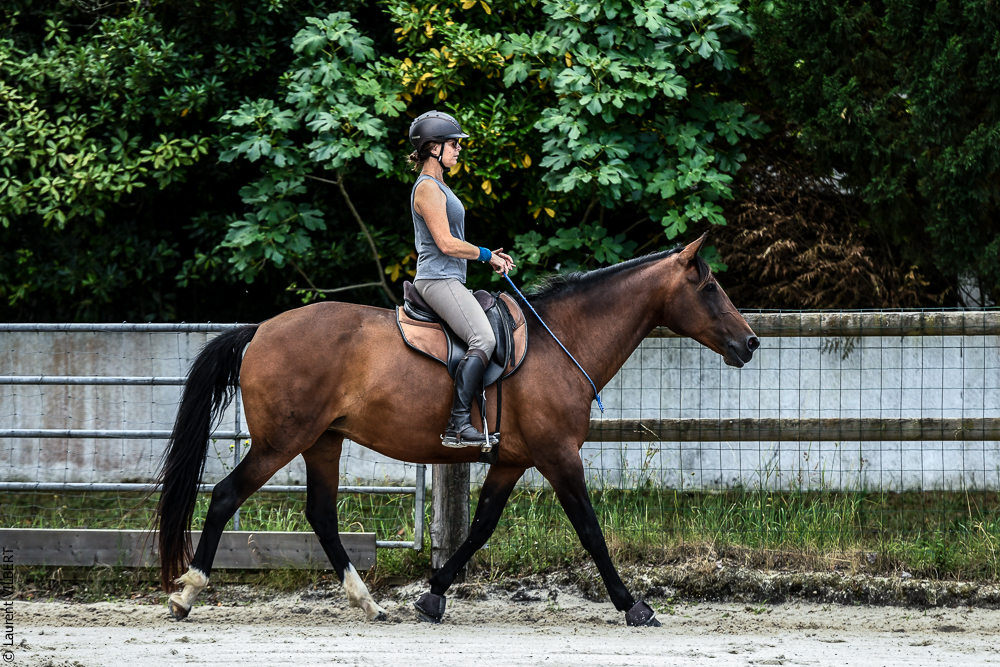 Quinta de Moita 20220627-684