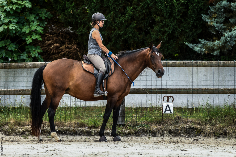 Quinta de Moita 20220627-685