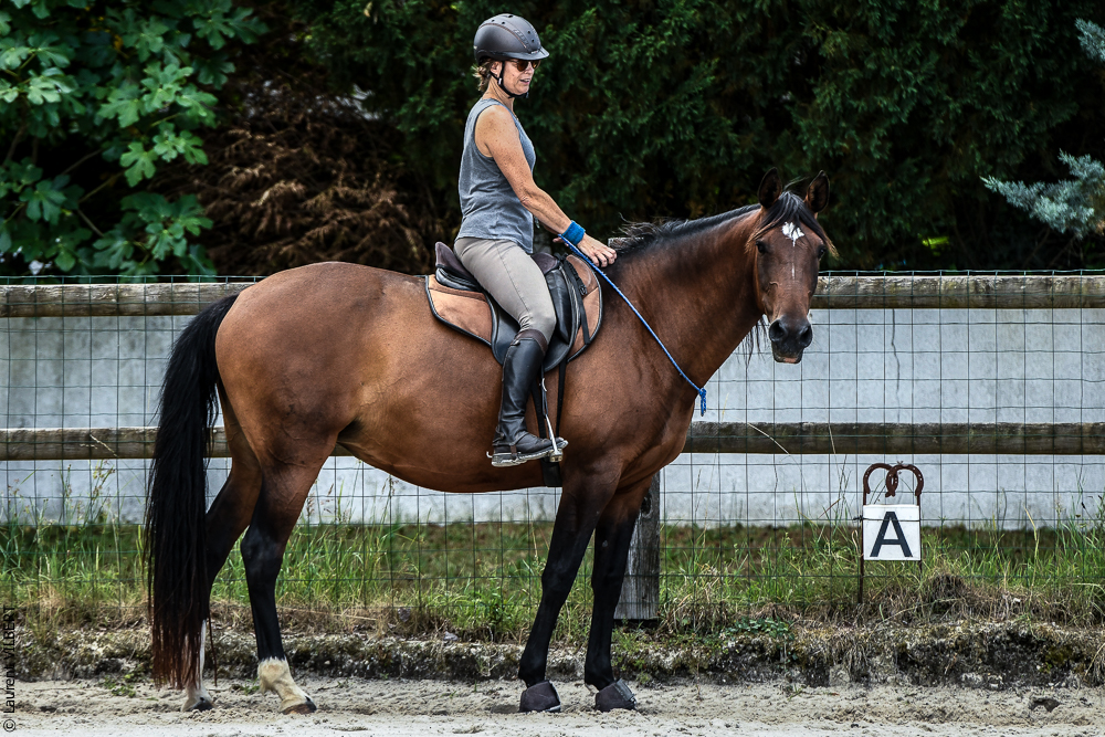 Quinta de Moita 20220627-686