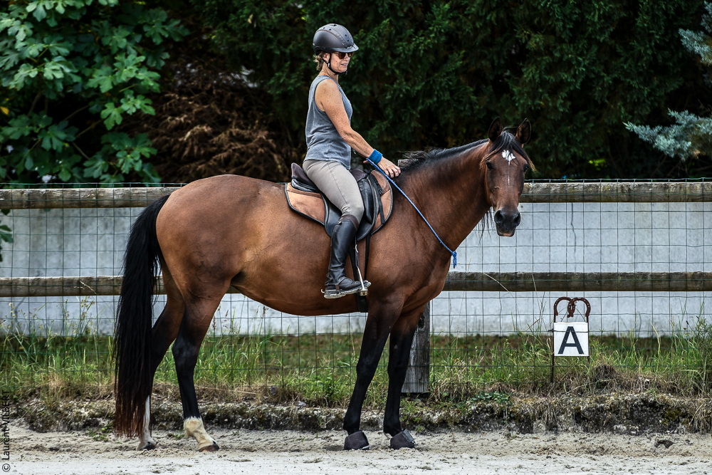 Quinta de Moita 20220627-689