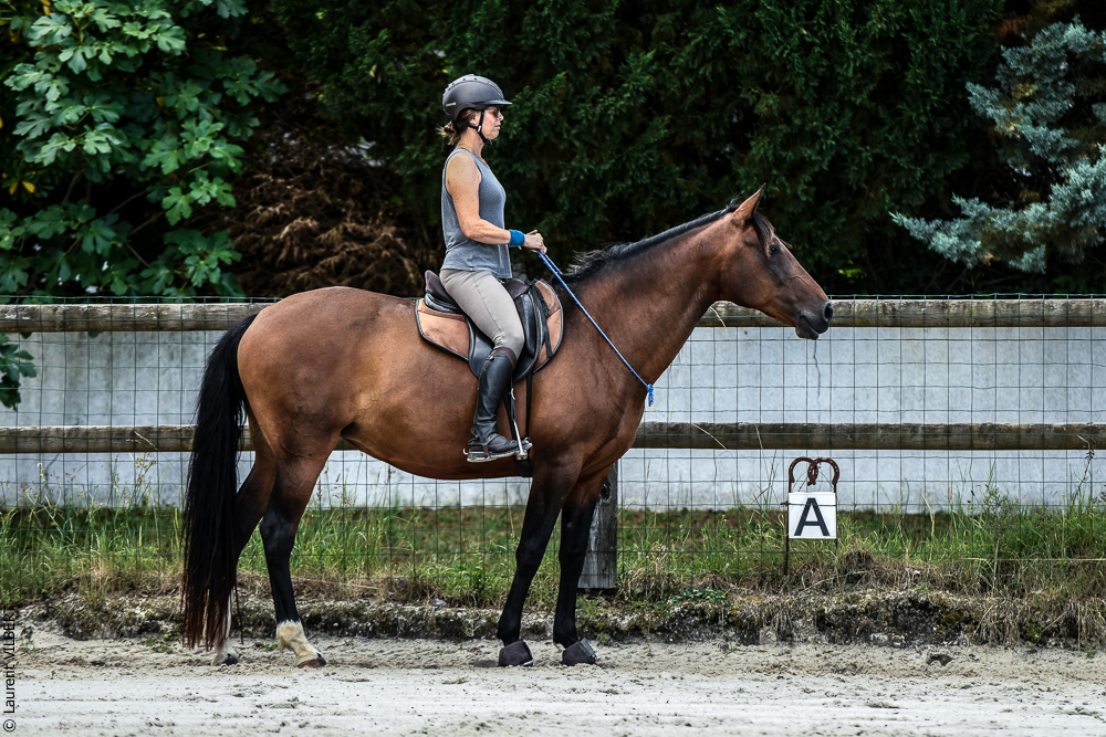 Quinta de Moita 20220627-691