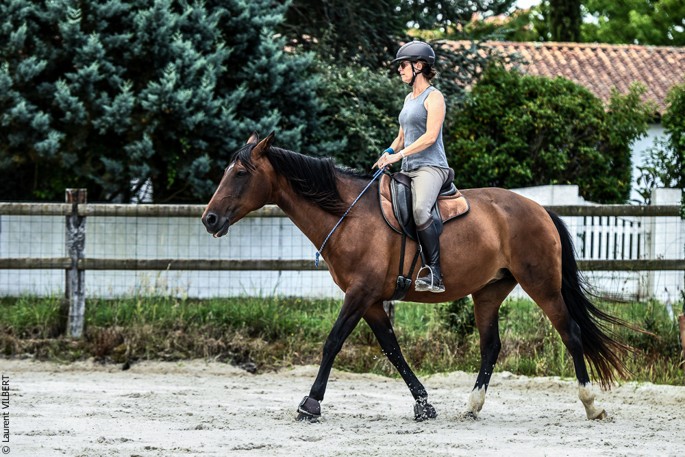 Quinta de Moita 20220627-692