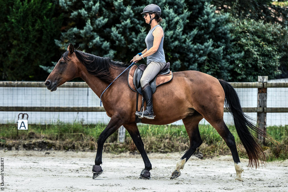 Quinta de Moita 20220627-693