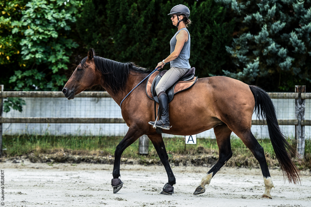 Quinta de Moita 20220627-694