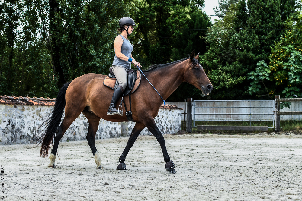 Quinta de Moita 20220627-698