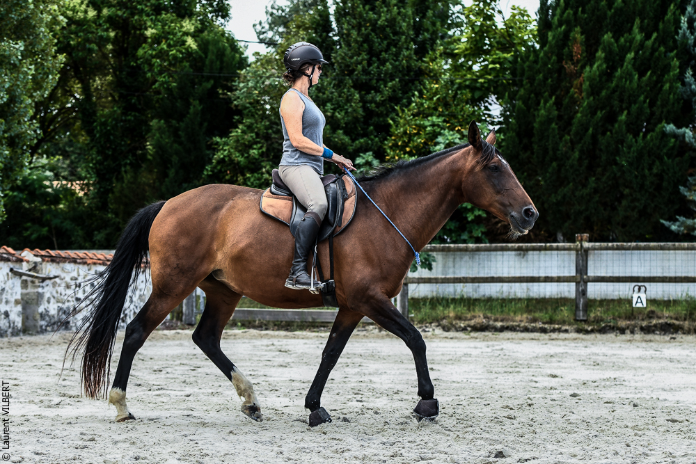 Quinta de Moita 20220627-699