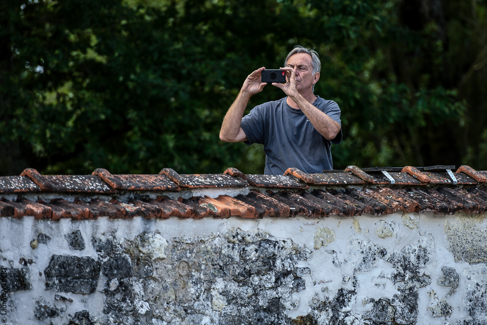 Quinta de Moita 20220627-709