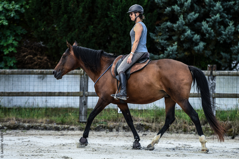 Quinta de Moita 20220627-718