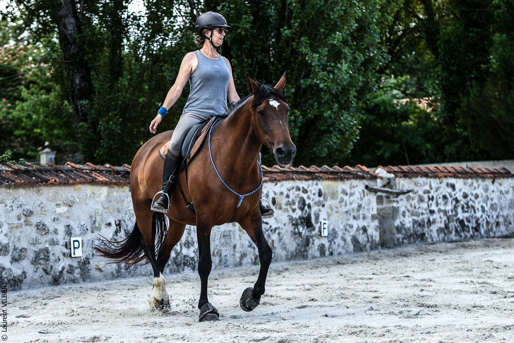 Quinta de Moita 20220627-720